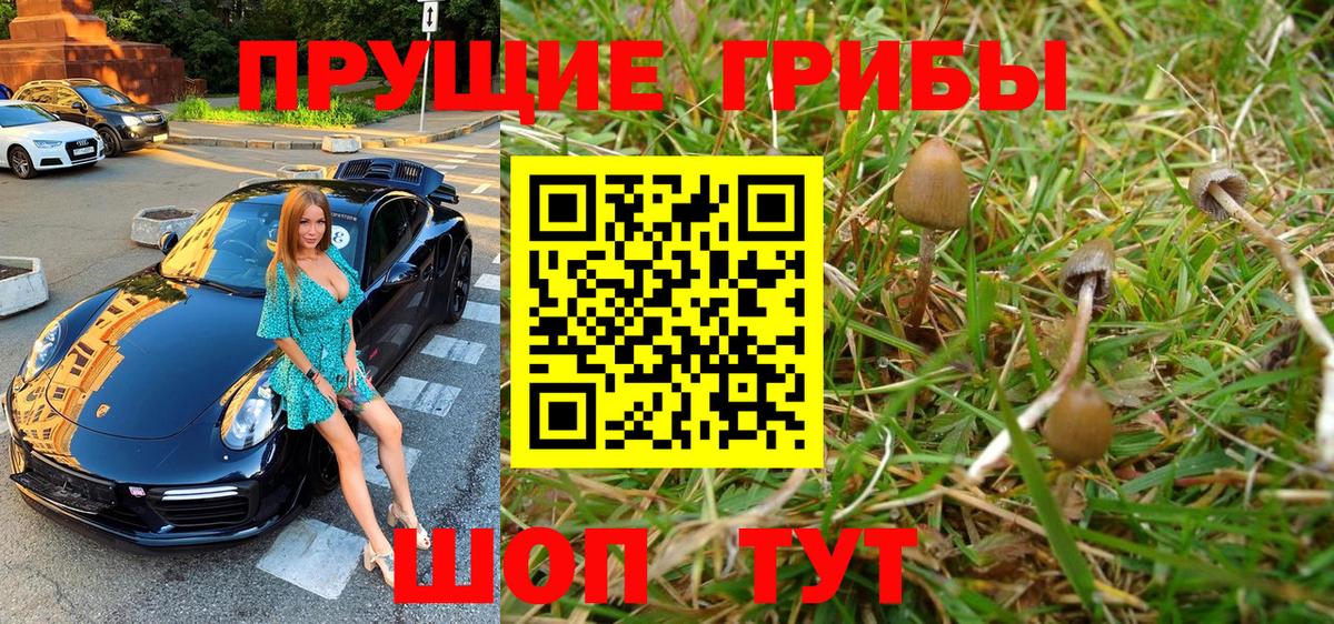 сколько стоит  Псилоцибиновые грибы Psilocybine cubensis  Вход с VPN  Лесосибирск 